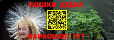 индика Шебекино