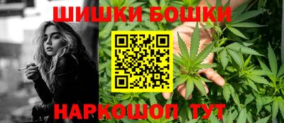 индика Шебекино